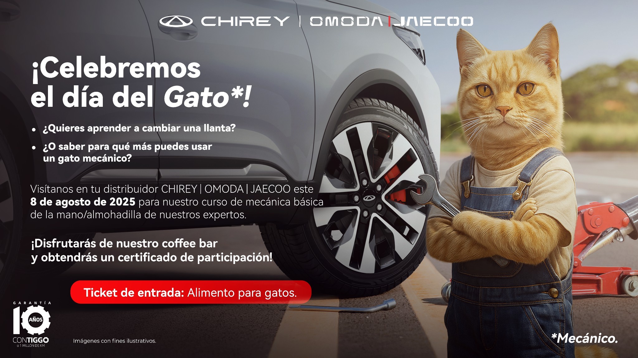 Chirey | OMODA | JAECOO celebra el Día del Gato con maullidos... ¡y mecánica  básica!