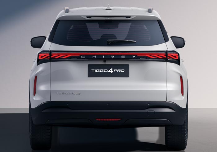 Image 23 - Diseño atigrado